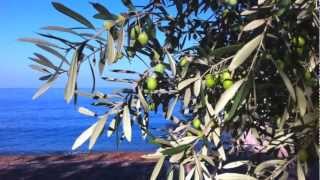 Montenegro Aman Sveti Stefan