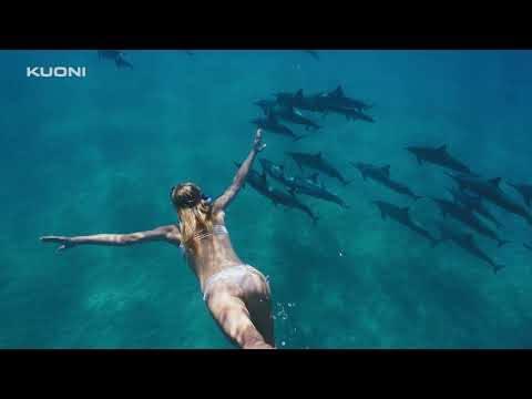 Video preview