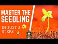 SEEDLING CARE 101 | Master the  Seedling Stage In Just 3 Steps!!