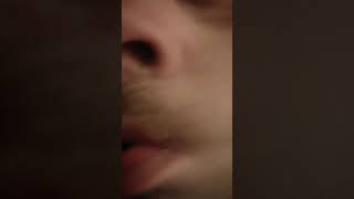 Nik og Jay - Linje H