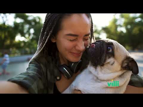 Villi video/presentation/materials