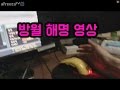월핵 해명영상 빼박!