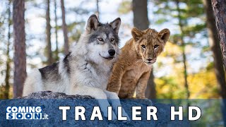 Trailer Preview Image