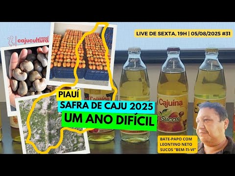 SAFRA PIAUIENSE DE CAJU 2025: UM ANO DIFÍCIL (SEXTA DO CAJU - 31ª EDIÇÃO )