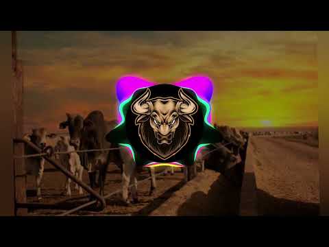 Antoniela Bigatão - As Brutas do Agro ft. AnaCastela