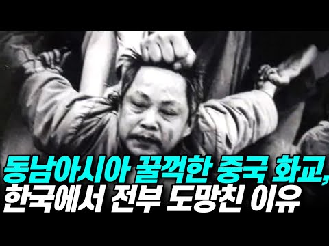 중국 화교들 전부 쫓아낸 유일한 나라, 한국
