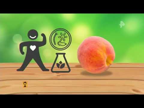 Специальный репортаж о фактах выращивания овощей в теплицах Волгоградской области с применением запрещенных веществ