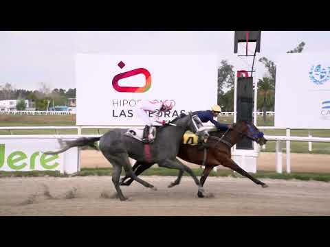 18/05/2023 – Hipodromo Las Piedras – Carr 1 – BOBBY Q (2019)