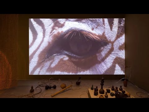 Experience the Exhibition: Trương Công Tùng