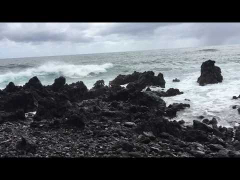 TERRA BELLA by JIM STUBBLEFIELD - Road to Hana, Maui