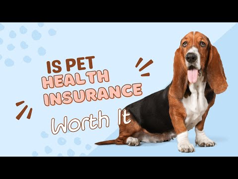 Is Pet Health Insurance Worth It  Is Pet Insurance Really Worth It Must See!🔥🔥🔥