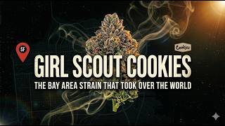 Girl Scout Cookies: The Bay Area Strain That Took Over the World
