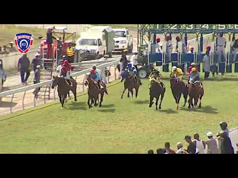 RM34 R4 - Bad Attitude