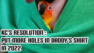 Parrots' New Year's Resolutions for 2022 - Funny & Cute!