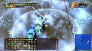 【switch2 live 105】チョコボの不思議なダンジョン エブリバディ