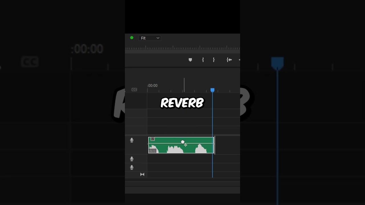 How To Create a Echo Voice Effect in Premiere Pro