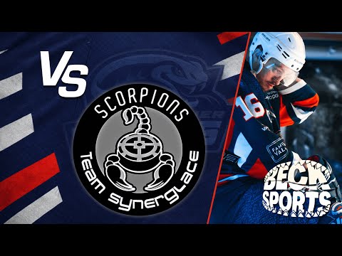 Video Analysis - Day 15 - Scorpions de Mulhouse (D2 - FFHG)