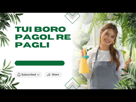 Sea waves beach drone video Free HD Video