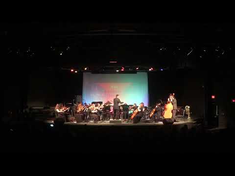Concert Strings- Zoom!- Richard Meyer
