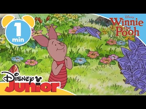 Pooh's Most Grand Adventure: The Search For C.Robin | Butterflies | @disneykids