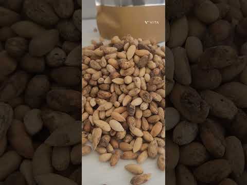 Vembu / Neem Tree Seed 1 Kg Pack