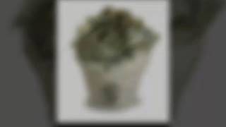 Fuck Tha Price "FTP" Hot Rod RG Mo Jo RG Sid Dogg