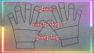 Học tên vật dụng hằng ngày của bé | Găng tay tên tiếng anh là gì ?