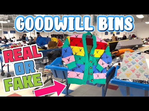 Louis Vuitton?? FANTASTIC DAY at the Goodwill Bins | Spent $24 Today Thrifting For Treasures 