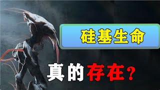地球上為什麼選擇碳基生命，矽基生命真的存在？ 會不會來攻佔地球