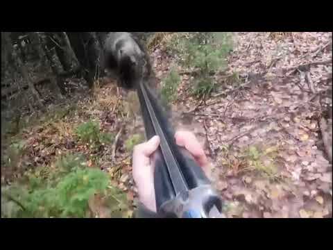 Bear attacks russian hunter