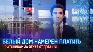 БЕЛЫЙ ДОМ НАМЕРЕН ПЛАТИТЬ НЕФТЯНИКАМ ЗА ОТКАЗ ОТ ДОБЫЧИ