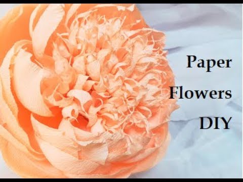 Crepe paper peony. Giant crepe paper peony flowers. DIY Wedding decorations.  Flowers on the wall