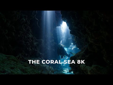 The Coral Sea in 8K | Far East Expedition Spirit of Freedom | Lihou Reef, Magdelaine & Herald Cays