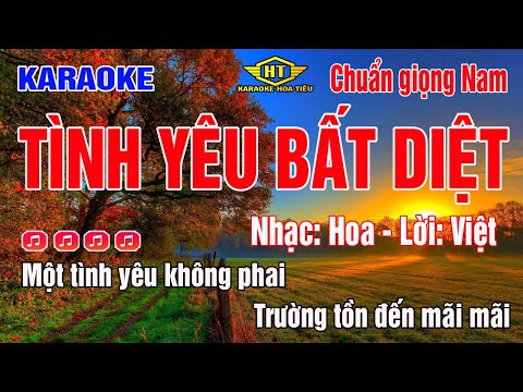 Karaoke Tình Yêu Bất Diệt | Tone Nam | Beat chuẩn hay