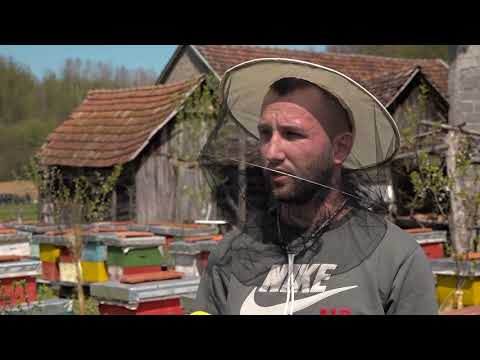 Gornji Smrtići: Pravnik Željko Radić uplovio u pčelarstvo 25.4.2021.