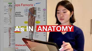 How I Study Anatomy Without Anki