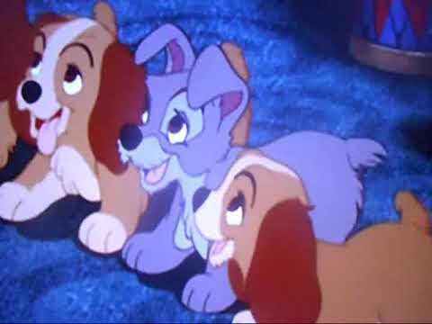 Scamp The Red-Nosed Puppy (1964) Part 2 - The Birth of Scamp/"Jingle Jingle Jingle"