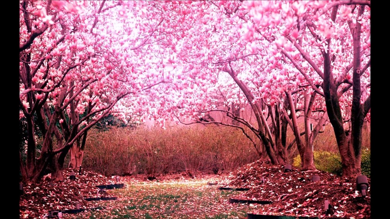 EDM春のR&B祭り 定番Hip Hop RnB Songs  2018  Hit Songs