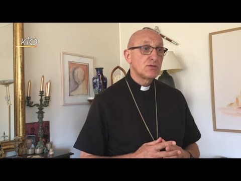 Déclaration des évêques de France contre la PMA - Eclairage de Mgr Rey