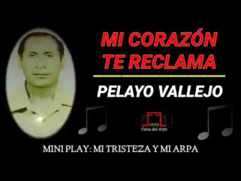 Iluciones Amorosas - Pelayo Vallejo