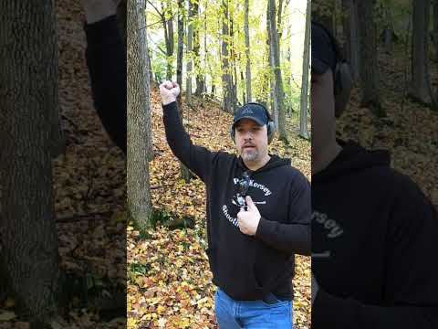 Quit Saying that Stopping Power Isn't Real and that .22 LR is "Just as Good"