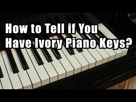 How to Tell if You Have Ivory Piano Keys?