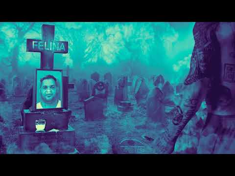FELINA - Al2 El Aldeano