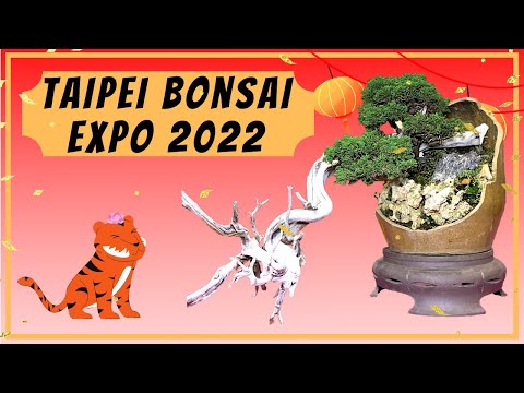 Creative Landscape Bonsai Expo 2022 創意山水盆景展2022