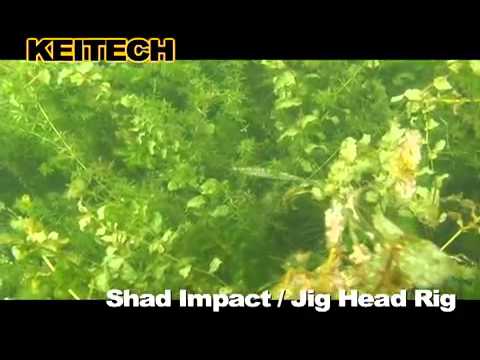 Keitech Shad Impact Fire Chart 53