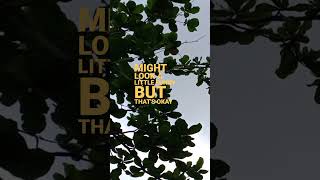 🎵Lenka - Unique lyric #lenka #unique