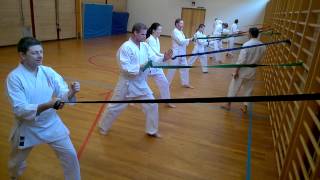 preview picture of video 'Treningssamling med sensei Poh Lim 6. dan på Otta Shotokan Karateklubb'