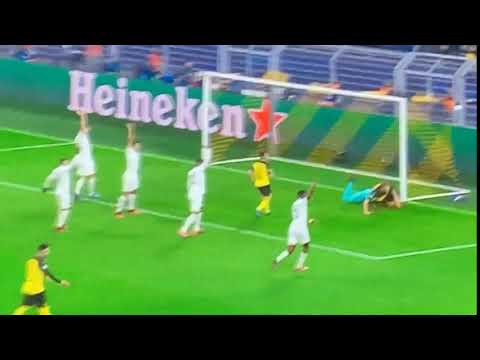 Erling Haaland - Goal vs PSG 18/02/2020