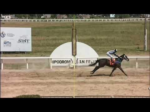 1/31/2026 – Hipodromo Paysandu – Carr 7 – INICIACIÓN PRODUCTOS 2023 (2do. TURNO)