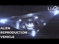 Alien Reproduction Vehicle TR 3B And The Flying Triangles
